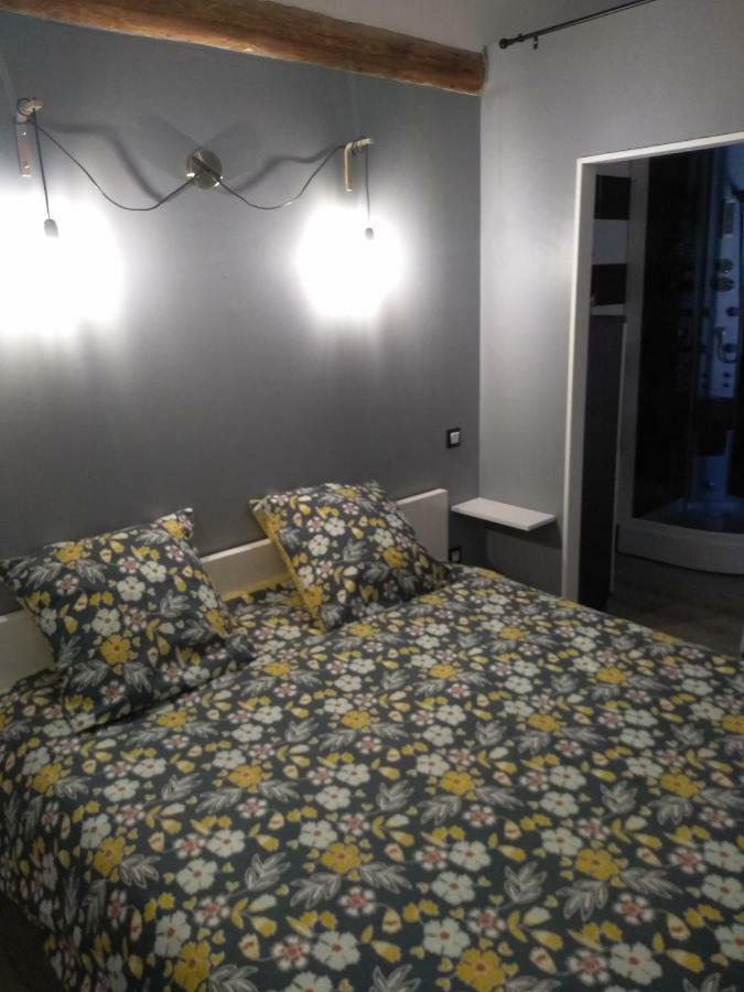 Agreable Duplex Au Centre Ville De Brioude Dış mekan fotoğraf